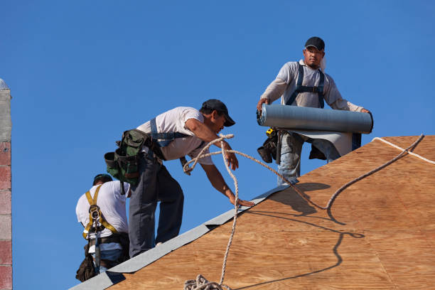 Quick and Trustworthy Emergency Roof Repair Services in Holtville, CA